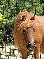 Mocha's Boogerman's Promise